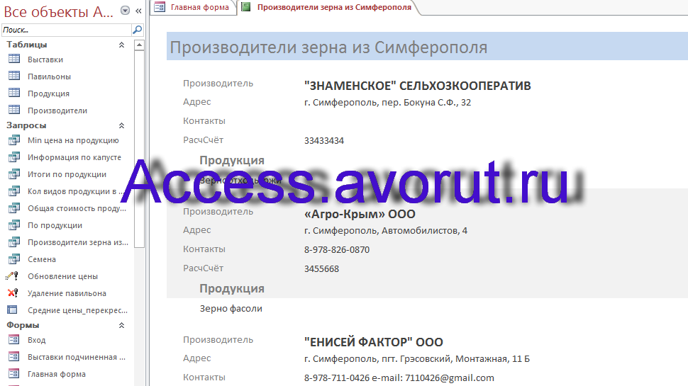 Скачать базу данных Access «Выставка-продажа сельскохозяйственной продукции». Отчёт в базе данных